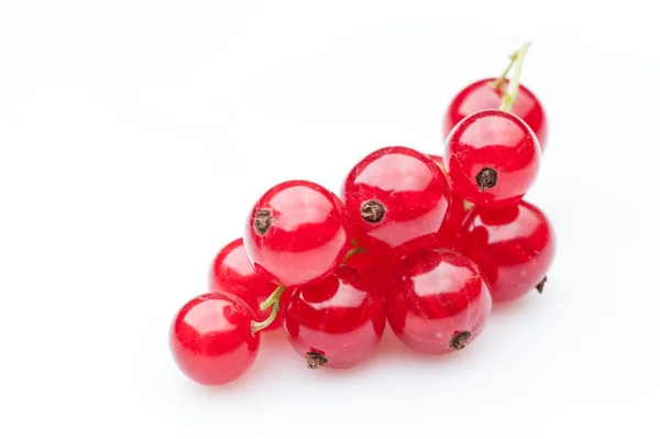 Red currant — Stock Photo, Image