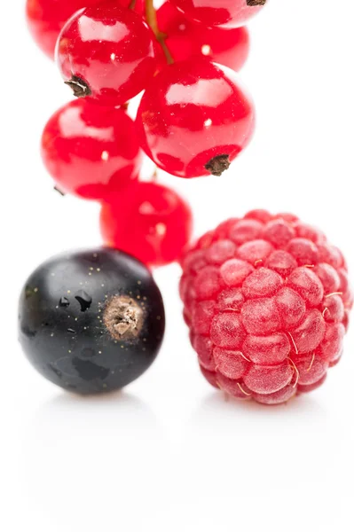 Black and red currant and raspberry — Stock Photo, Image