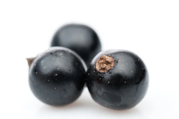 Three black currant berries — Stock Photo, Image