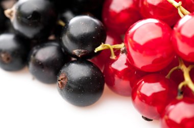 çilek kompozisyon kırmızı ve Siyah frenk üzümü