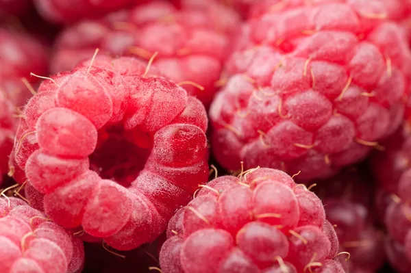 Red raspberry background — Stock Photo, Image