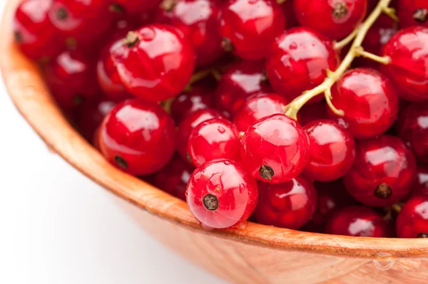 Röda vinbär i plattan — Stockfoto