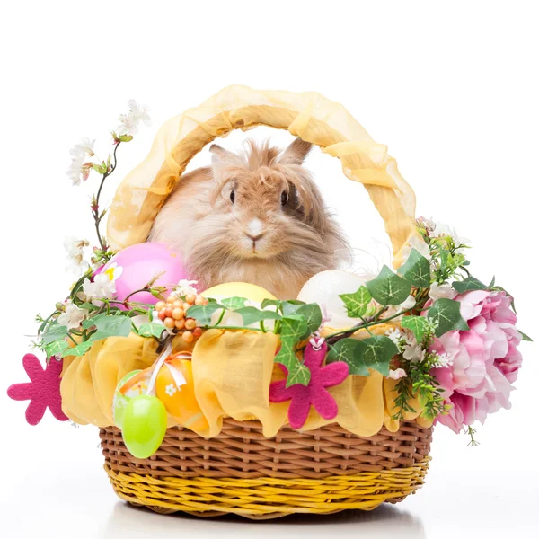 Easter composition — Stock Photo, Image