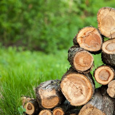 boten en jacht aangemeerd in een jachthaven van miami beach
