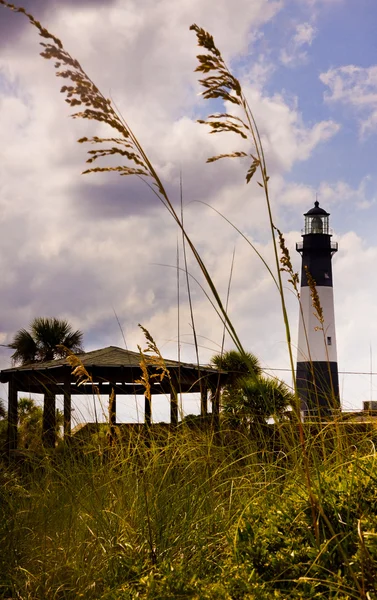 Tybee Adası ışık evi — Stok fotoğraf