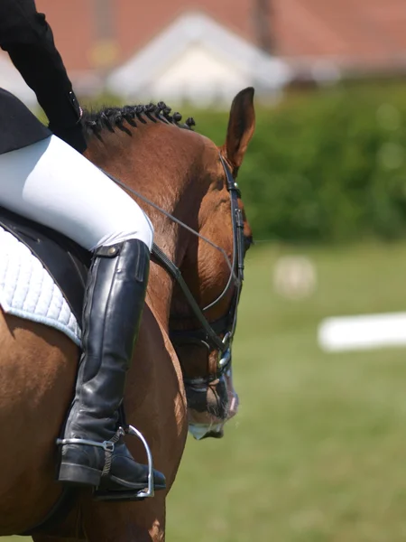 Astratto di dressage — Foto Stock