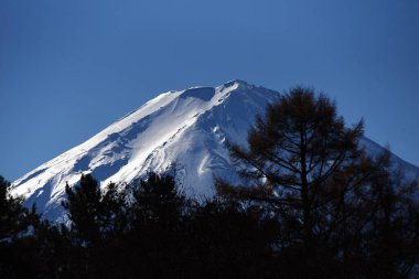 Mt. Fuji Japonya 'daki en yüksek aktif yanardağdır ve bir Dünya Kültür Mirası olarak kaydedilmiş Japonya' nın bir sembolüdür. Mevsime ve mekana bağlı olarak çeşitli güzel manzaralar göster.