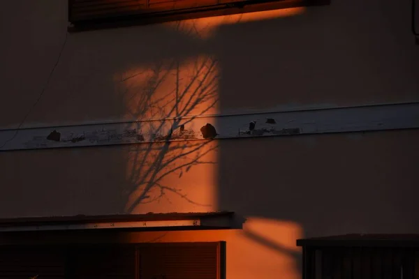 Vista Del Amanecer Una Casa Sol Mañana — Foto de Stock