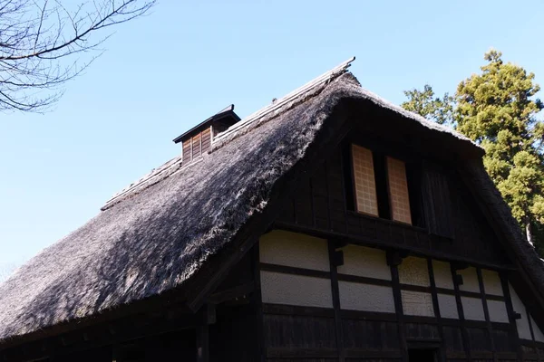 Dům Doškovou Střechou Bohatého Farmáře Postaveného Roce 1804 Období Eda — Stock fotografie