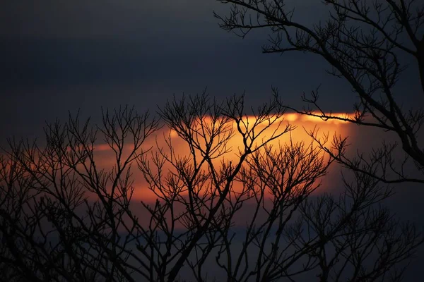 天使のはしごかジェイコブのはしごだ 太陽が雲を通して輝く自然現象 — ストック写真