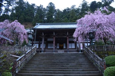 Japon turist cazibesi. Yağmurlu bölge 