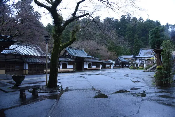 Ιαπωνικό Τουριστικό Αξιοθέατο Περίχωρα Του Βροχερού Ναού Daiyuzan Saijoji Minamiashigara — Φωτογραφία Αρχείου