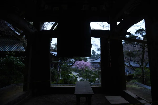 Attraction Touristique Japonaise Enceinte Pluvieux Daiyuzan Saijoji Temple Minamiashigara City — Photo