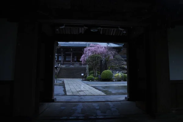 Atração Turística Japonesa Recintos Templo Daiyuzan Saijoji Chuvoso Minamiashigara City — Fotografia de Stock