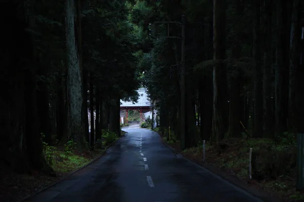 관광객 Daiyuzan Saijoji Temple Precincts Rain Minamiashigara City Kanagawa Prefecture — 스톡 사진