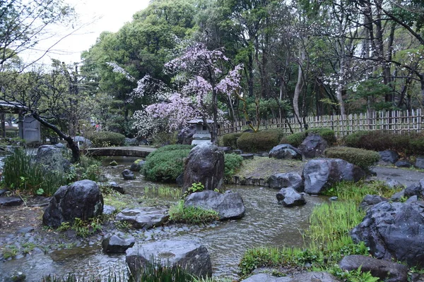 Klidná Zahrada Japonském Stylu Mokrá Jarním Dešti — Stock fotografie