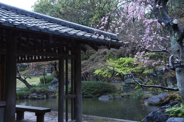 Klidná Zahrada Japonském Stylu Mokrá Jarním Dešti — Stock fotografie