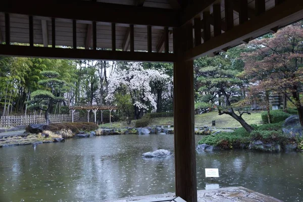Sebuah Taman Gaya Jepang Yang Tenang Basah Hujan Musim Semi — Stok Foto