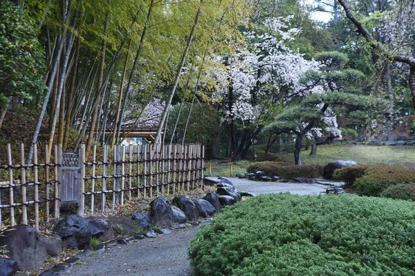 Klidná Zahrada Japonském Stylu Mokrá Jarním Dešti — Stock fotografie