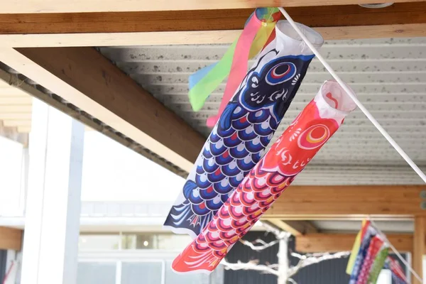 Carpe Japonaise Streamer Koinobori Saison Japon Des Banderoles Carpes Sont — Photo