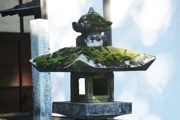 Scene Moss Growing Moss Used Japanese Style Gardens Bonsai Aesthetic — Foto de Stock
