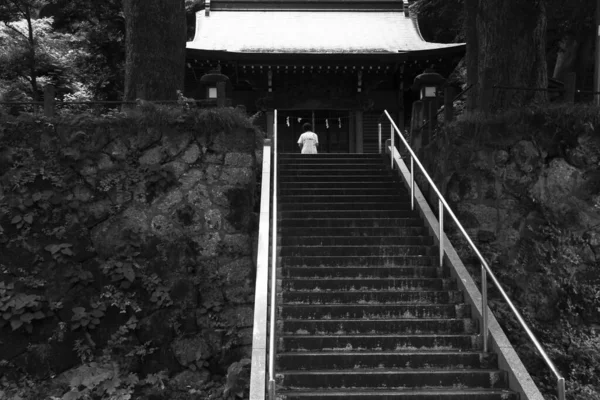 Mysterious Sight Small Shrine Japan — Stock Photo, Image