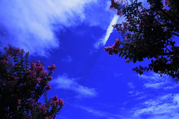 Midsummer Blue Sky White Clouds Seasonal Background Material — Fotografia de Stock