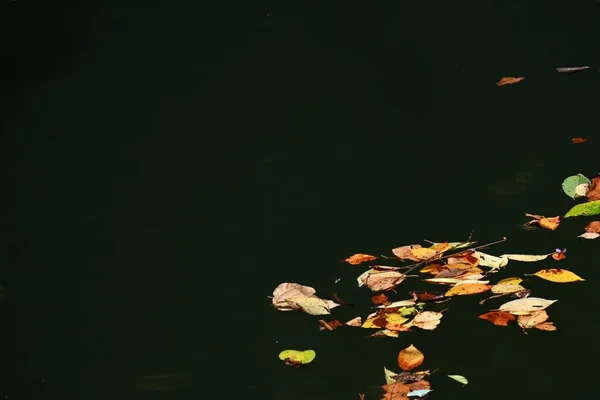 Abstraktes Spektakel Hintergrundmaterial Des Herbststroms — Stockfoto