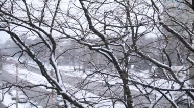 Kar yağıyor, şehrin arka planında çıplak ağaç dalları.