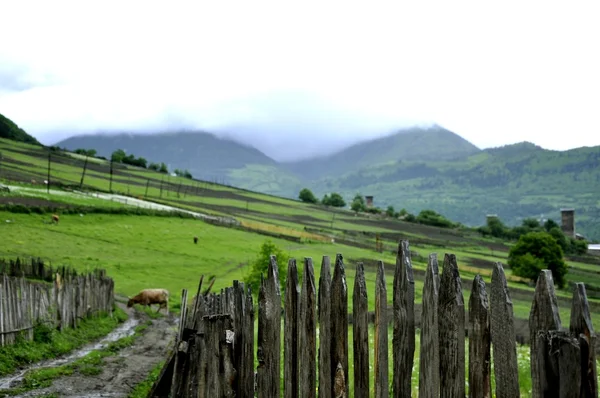 Montanhas georgianas em junho — Fotografia de Stock