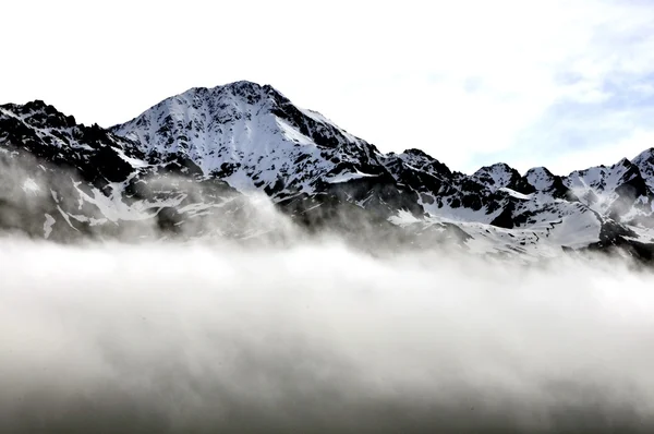 Haziran ayında Gürcü mountais — Stok fotoğraf