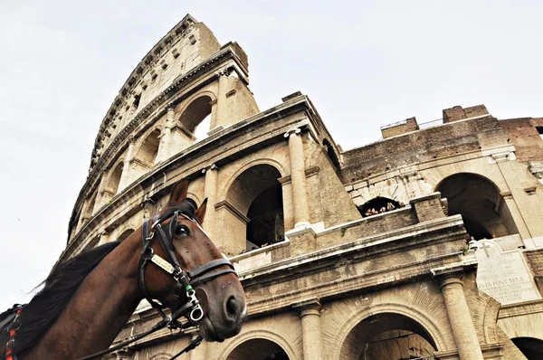 Coliseu em Roma — Fotografia de Stock