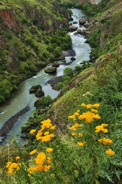 Georgiska natur Royaltyfria Stockbilder