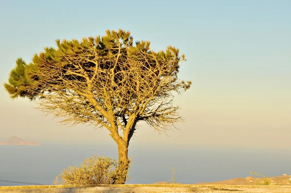 Schöne aussicht in santorini — Stockfoto