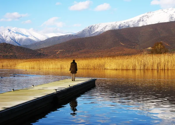 I prespa, Grekland Stockbild