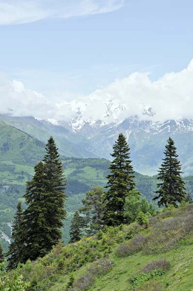 Mestia, berg i Svanetien - Georgien — Stockfoto