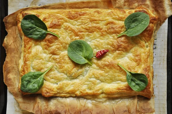 Spinach pie with cheese — Stock Photo, Image