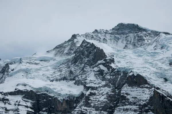 Swiss doğada — Stok fotoğraf