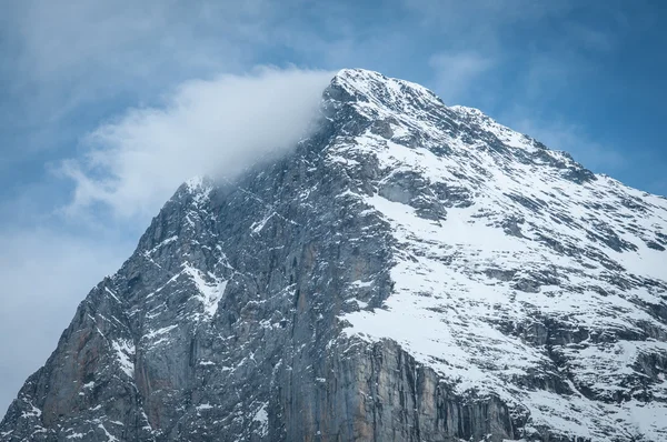 Swiss doğada — Stok fotoğraf