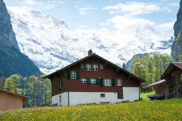 Naturen i schweizare — Stockfoto