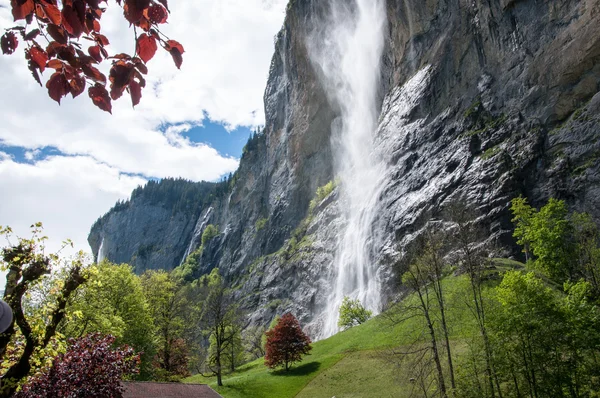 Natur in der Schweiz — Stockfoto