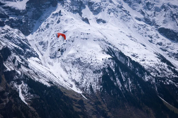 Naturaleza en Suiza — Foto de Stock