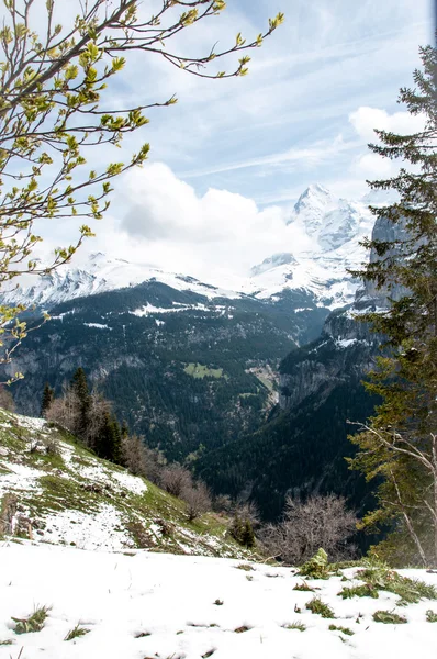 Naturen i schweizare — Stockfoto