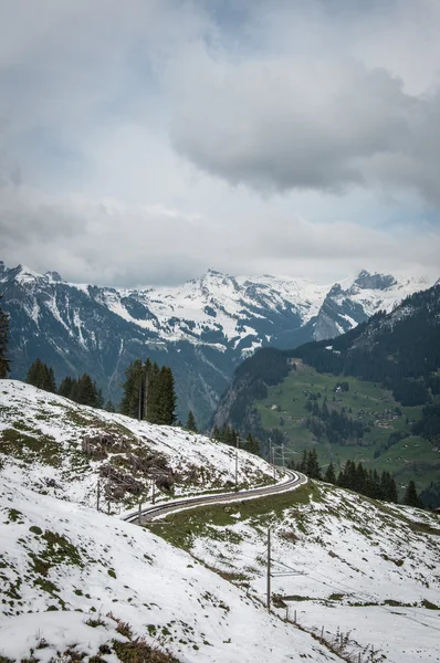 Naturen i schweizare — Stockfoto