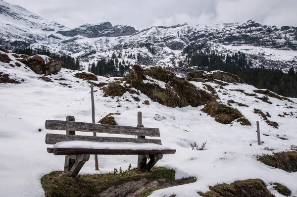 Naturaleza en Suiza — Foto de Stock