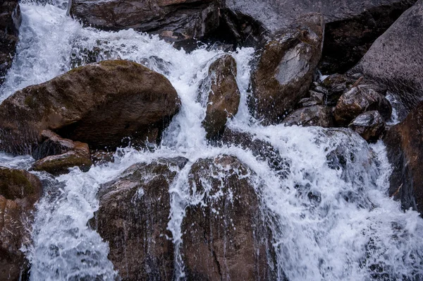 Natur in der Schweiz — Stockfoto