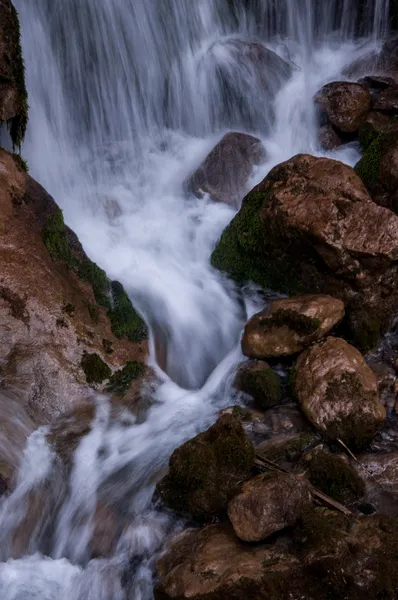 Natur in der Schweiz — Stockfoto