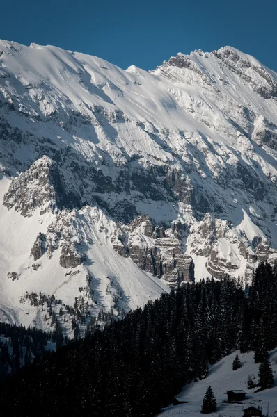 Naturaleza en Suiza — Foto de Stock