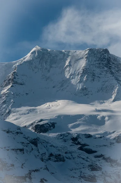 Naturaleza en Suiza — Foto de Stock