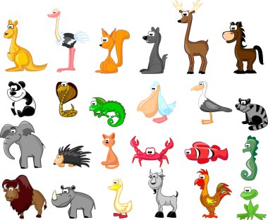 ekstra büyük ets hayvanlar